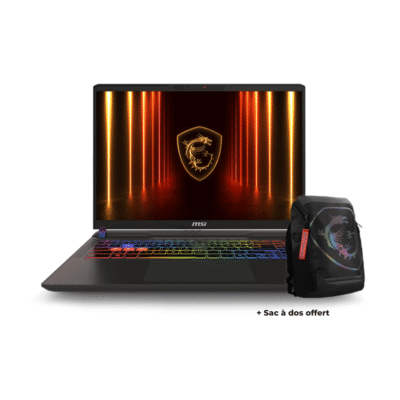 MONITEUR MSI GAMING MSI VECTOR 16 HX AI A2XWIG-463MA – (4711377361170)