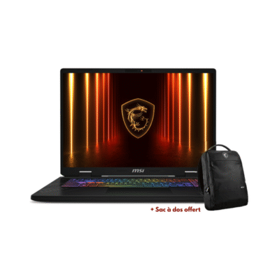 MONITEUR MSI-CROSSHAIR 17 HX AI D2XWGKG-044MA (4711377361194)