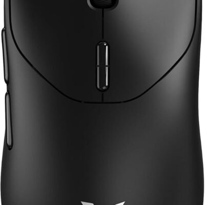 Souris gaming Rapoo VT960PRO filaire sans fil